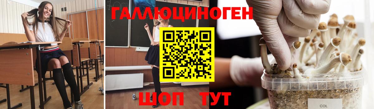 Галлюциногенные грибы прущие грибы Лениногорск